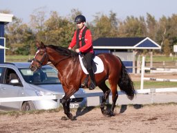 IMG_7420_web
